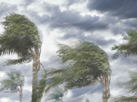 Após a Tempestade, Serenidade • Serenity After the Storm