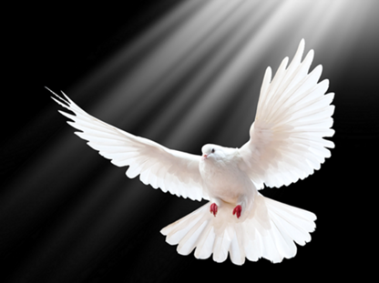 Conheça a Deus, conheça a paz 💎 Know God, know peace